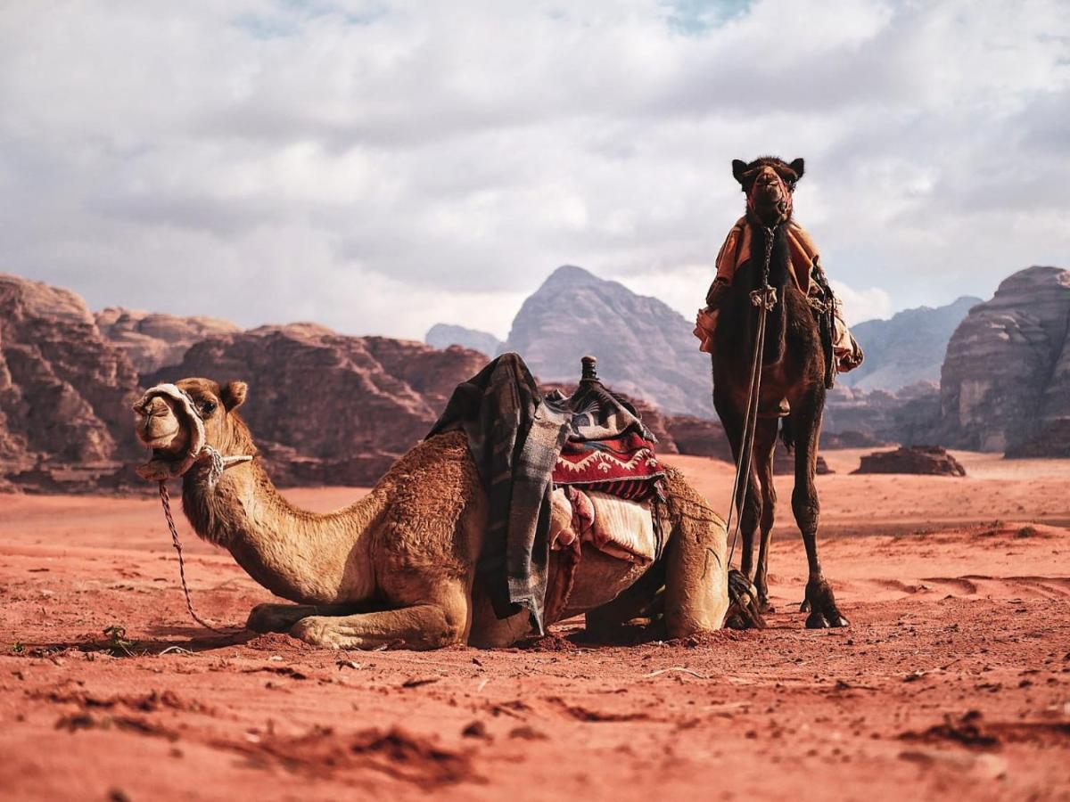 Wadi Rum Nights Zewnętrze zdjęcie