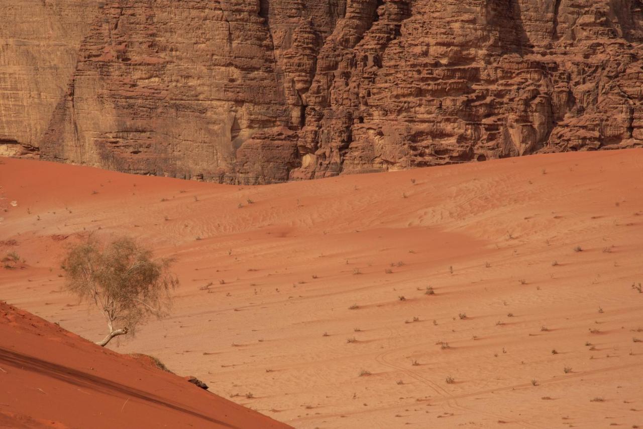 Wadi Rum Nights Zewnętrze zdjęcie